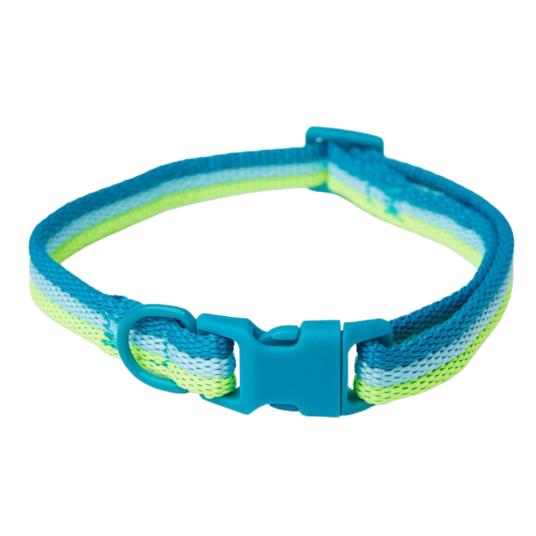 Pawpverse Aqua Fade Adjustable Nylon Collar