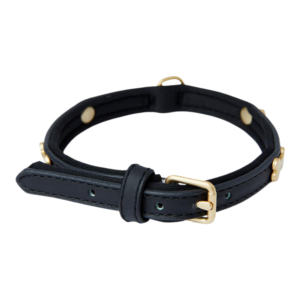 Pawpverse Classic Black Leather Buckle Collar