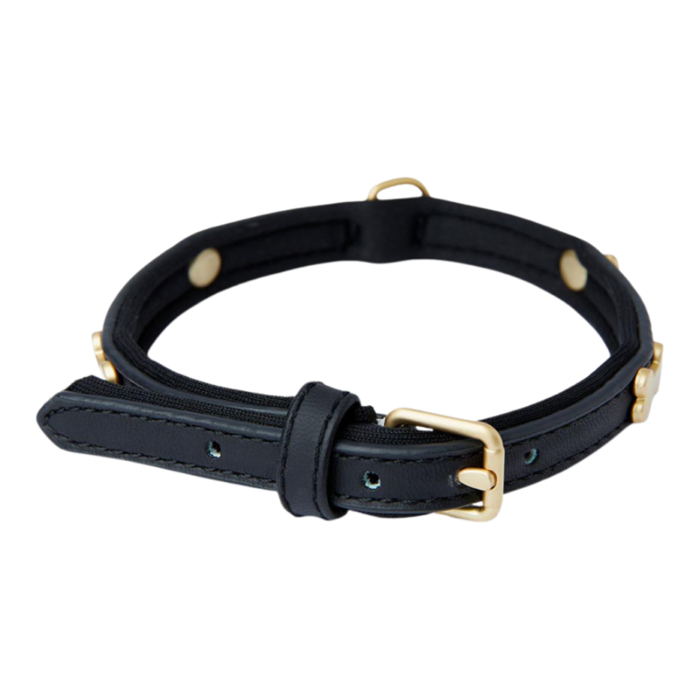 Pawpverse Classic Black Leather Buckle Collar