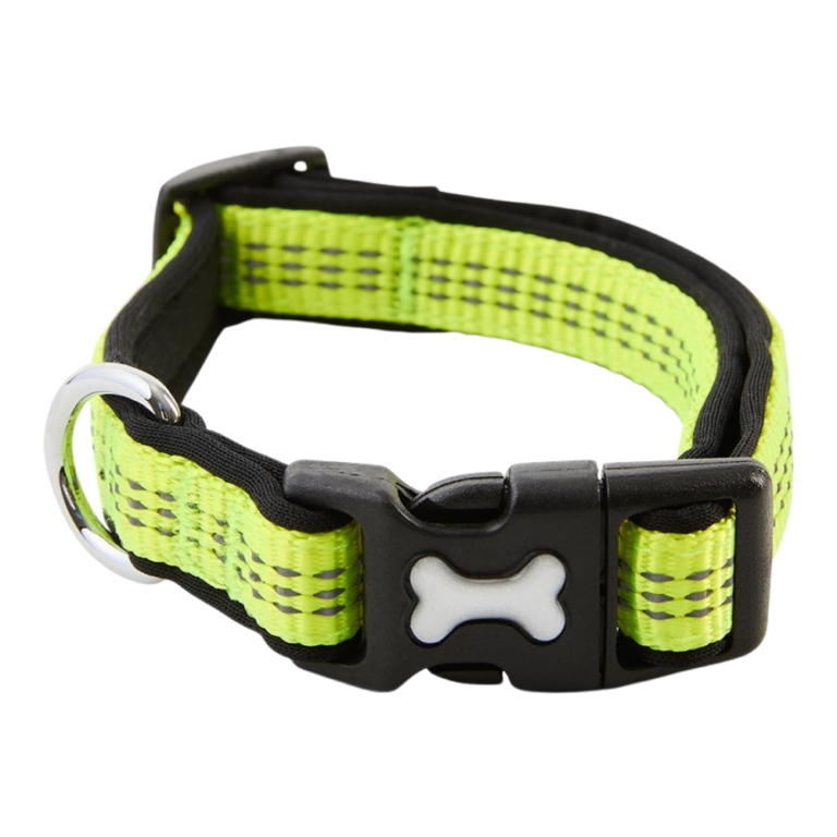 Pawpverse Neon Reflective Bone Buckle Collar