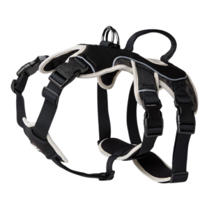 Pawpverse Black Padded Control Pet Harness